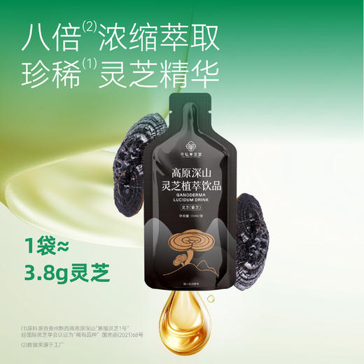 ⁵近效清仓299元10盒【紫灵芝饮】原129元 配料只有水+紫灵芝 高原深山林下种植  效期26年11月 30ml*7袋/盒 YY05-QTT-GZHH 商品图1