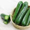 MM 山姆 有机水果青瓜 1kg 商品缩略图1