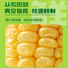 隆王府-糯玉米礼盒220g±10g/穗*10穗 商品缩略图2
