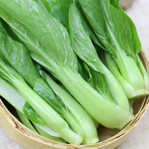 MM 山姆 有机油菜仔 600g 商品图1