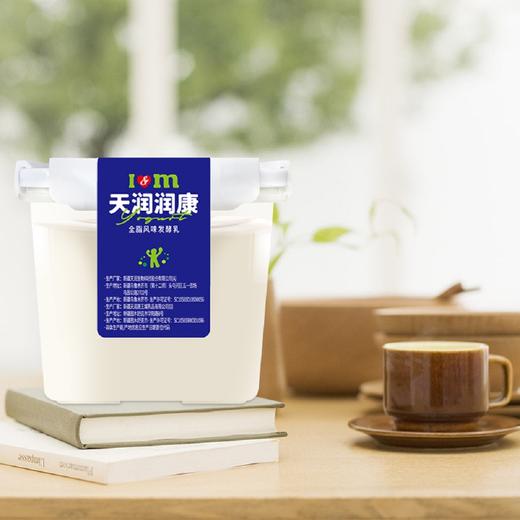 天润 润康全脂风味发酵乳家庭装1kg 商品图2