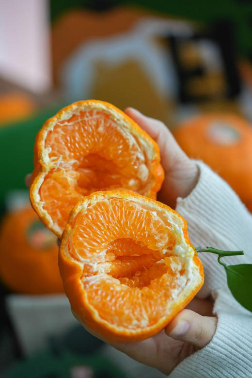 晓橘春见耙耙柑，✅清甜爽口✅细腻多汁！
✅鱼子酱一样的果粒
✅无核好剥皮一口气几个不带停
✅好吃不上火比金嗓子喉宝更润喉
✅自然成熟不打甜蜜素9甜一酸风味浓郁，毛重8斤/箱 商品图1