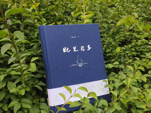 既见君子  郝永伟  著 商品图1