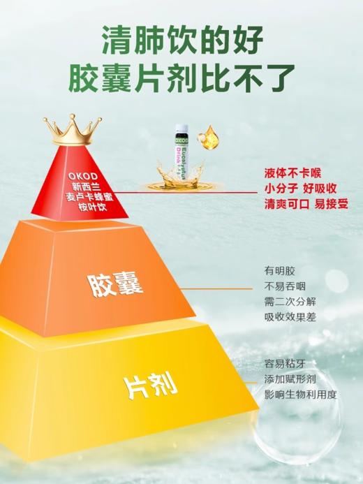 奥科德槲皮素桉叶饮  儿童款 养肺液 商品图3