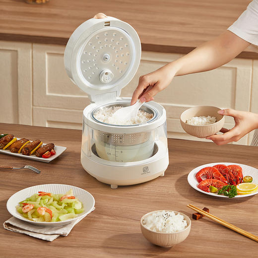 神田0涂层低糖电饭煲 商品图0