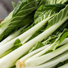 MM 山姆 有机小白菜 600g 商品缩略图2