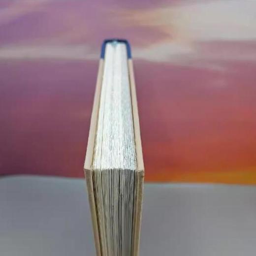 【毛边版】中国雕塑史讲义 梁思成 著  三联书店旗舰店 商品图1