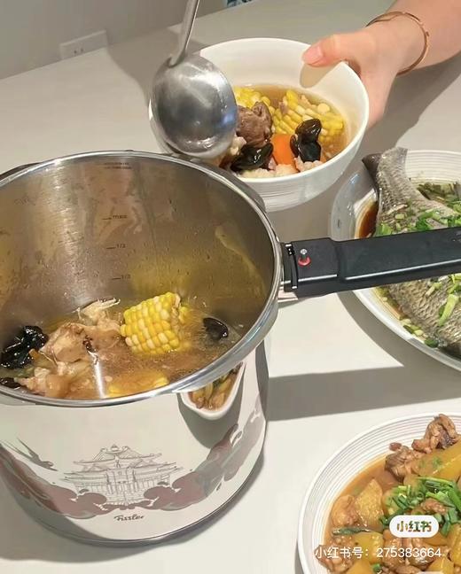 【6F】菲仕乐 故宫典藏版高速快锅6升/4.5升 商品图4