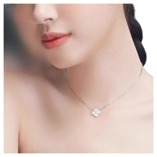 suns 贝母四叶草S925纯银项链女轻奢小众锁骨链2024新款送女友老婆礼物礼品 商品图3