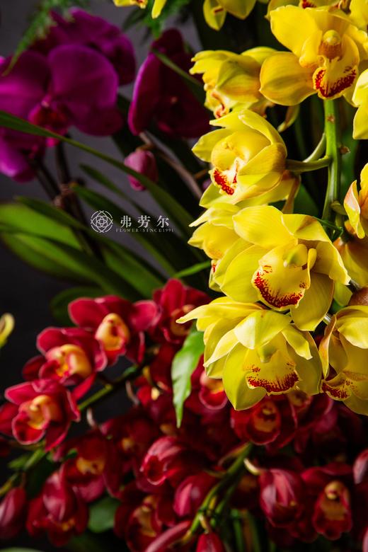 富贵好运来 商品图1