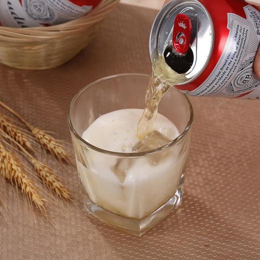 百威啤酒 330ml(酒精度:≥3.6%vol) 商品图3