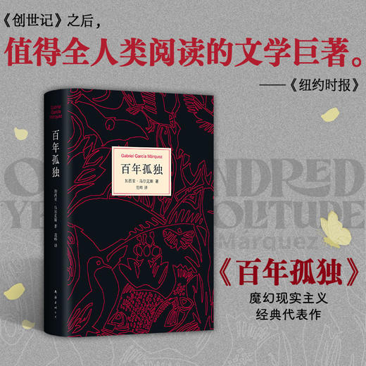 百年孤独 商品图1