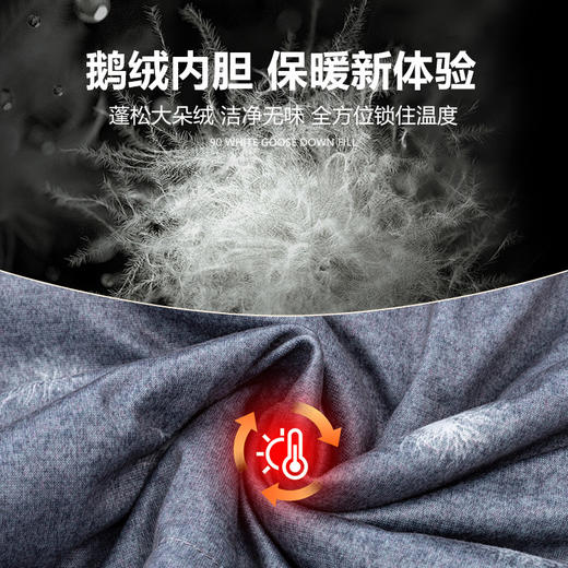 丁摩 男士冬季鹅绒保暖衬衫羊毛商务男装加绒加厚纯色长袖衬衣5ZF-12801 商品图2