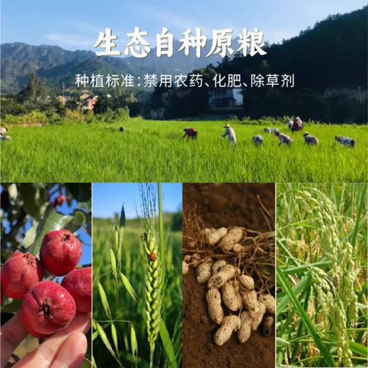 【缺货产品需替换】【谦益】生态零食礼盒 8种安心零食  美味可口 大人小孩放心吃 送礼优选 商品图4