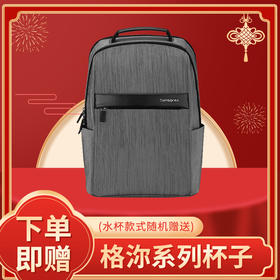 新秀丽时尚双拼 立体有型双肩包 都市简约电脑包TR1 灰色TR1*08026