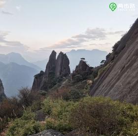 【小课堂】 一旦有这6个症状，千万别跑步，免疫力在崩溃边缘！ 