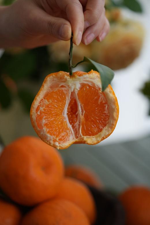 上新特价！原生态板果粒橙！【春见耙耙柑】自然成熟糖度15+起，一口下去满嘴biu汁，超爽超过瘾！ 商品图5