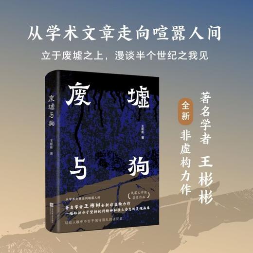 废墟与狗 商品图0