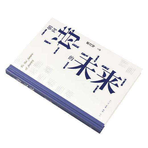朝向诗的未来  翟月琴 著 三联书店 商品图2