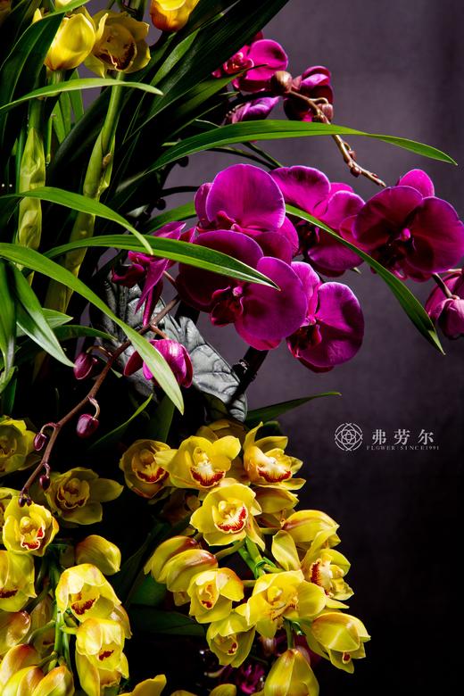 瑞蛇迎新春 商品图1