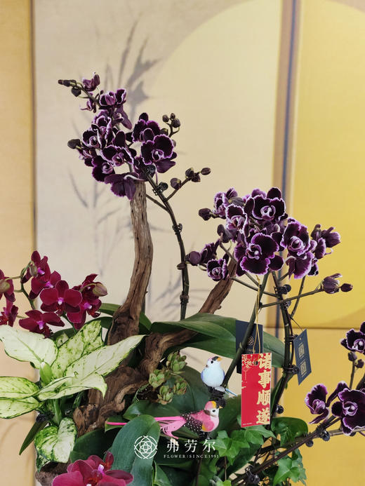 JT诸事顺遂 商品图2