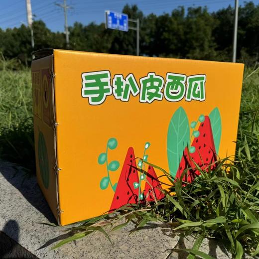 【高糖春玉西瓜 /金玉西瓜48小时发货 礼盒装】可徒手剥皮，精致个头，果肉红艳，水分足，甘甜如冰糖，吊瓜种植 商品图3