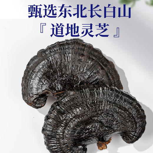 【中秋礼盒】神农金康 海参鱼翅鲍鱼人参七拼294克 山珍海味螺片灵芝年货礼盒春节大礼包滋补品送父母长辈企业员工团购 商品图8