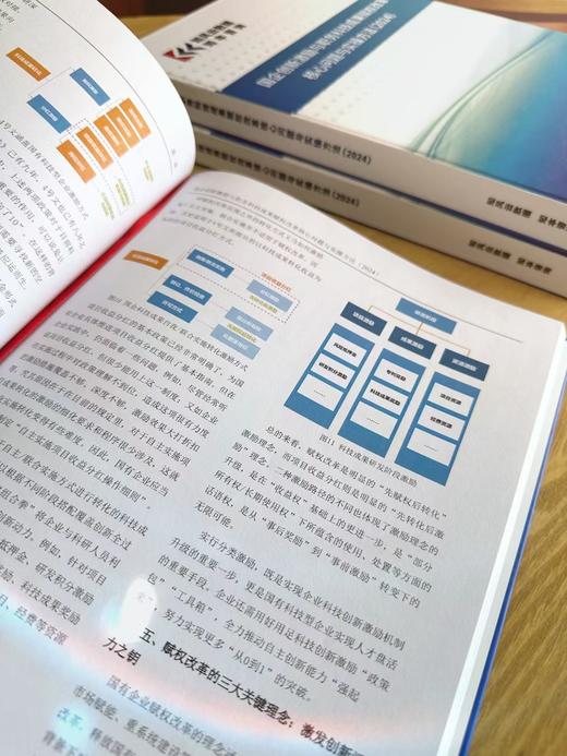 研究报告《国企创新激励与职务科技成果赋权改革核心问题与实操方法（2024）》 商品图1