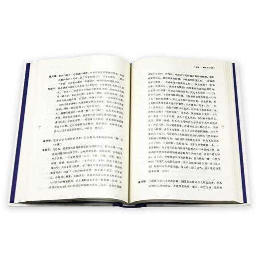 朝向诗的未来  翟月琴 著 三联书店 商品图3