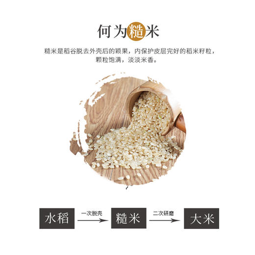 阿福视界 | 东北糙米，低脂饱腹自带胚芽，2.5kg 商品图3