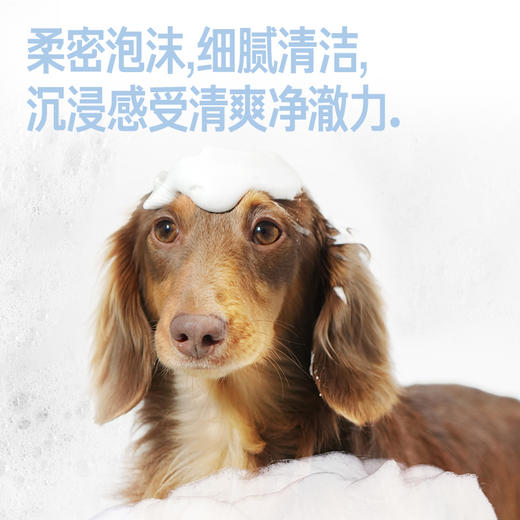 宠物温和呵护沐浴露 蓬松柔顺清洁护毛除臭持久留香 商品图4