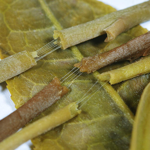 2022班章橡筋饼普洱生茶357克 商品图4