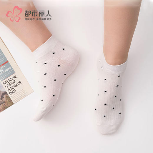 都市丽人中精梳棉活力趣味常规袜LCHCA7 商品图0