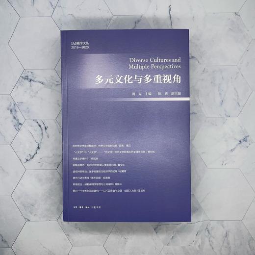 多元文化与多重视角 周宪 主编 陈勇 副主编  三联书店 商品图4