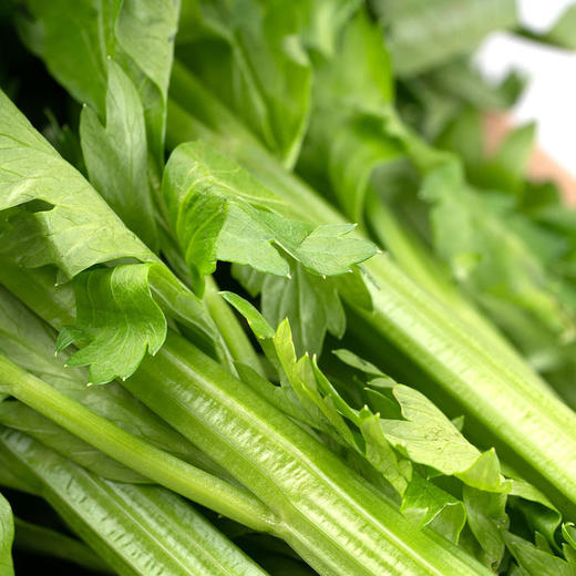 MM 山姆 有机西芹 600g 商品图3