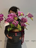 福满花朝新盆 蝴蝶兰盆栽 商品缩略图1