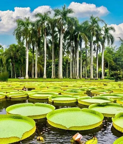 户外@【世界佤乡|秘境沧源】哀牢山-沧源-景迈山-版纳 8天 商品图4