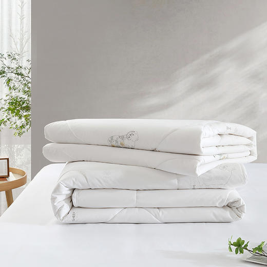 轻奢睡感羊毛子母被BYYM218-2500 商品图1