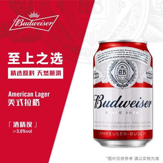 百威啤酒 330ml(酒精度:≥3.6%vol) 商品图0