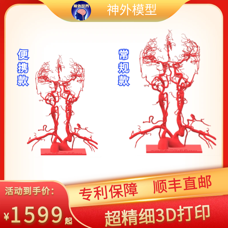 全新现货 专利产品【头颈血管模型】3.0版本重磅来袭
