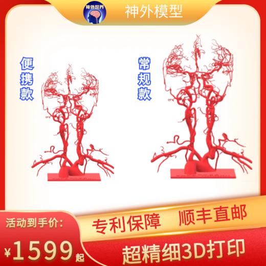 全新现货 专利产品【头颈血管模型】3.0版本重磅来袭 商品图0