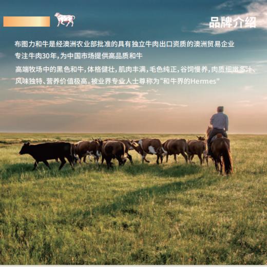 布图力牛排1480g： M9和牛眼肉牛排x2（200g/盒） M6和牛牛仔骨x2（150g/盒） M6和牛菲力牛排x2（150g/盒） M6和牛西冷牛排x2（150g/盒） 黑胡椒海盐x1（180g 商品图1