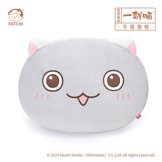 【年糕抱枕】如果历史是一群喵官方抱枕 商品图4