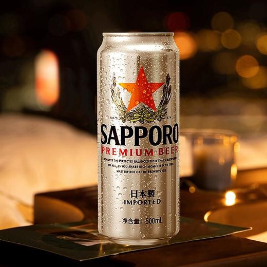 三宝乐啤酒 500ml*9/件 商品图4