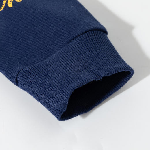 贝贝怡童装男童休闲卫衣纯棉儿童长袖打底衫春秋新款全棉套头衫ZB1ES031 商品图8