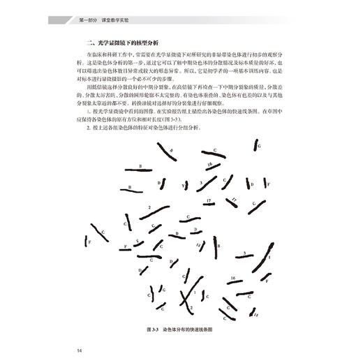 医学遗传学实验指导 第2二版 高等医药院校教材 张志敏 李学英编 供基础临床口腔检验麻醉法医护理等专业用 人民卫生出版社 商品图4