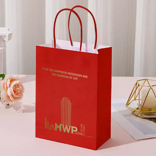 泰康HWP专版手提袋 商品图1