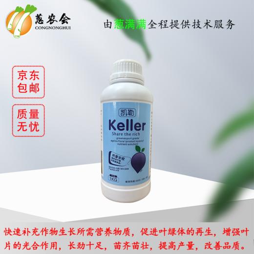 【肥料】葱类叶面增产好搭档/新老包装随机发货 商品图2