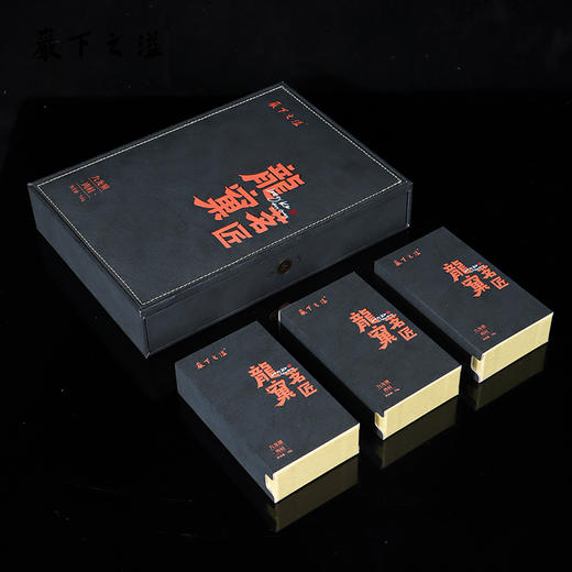 岩下之溢 龙窠茗匠 54g 商品图1