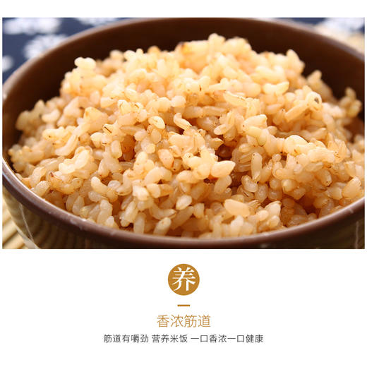 阿福视界 | 东北糙米，低脂饱腹自带胚芽，2.5kg 商品图6